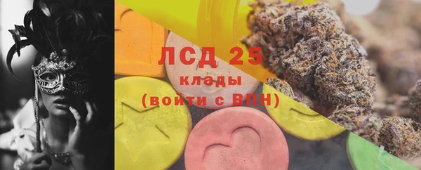 шишки Лабытнанги