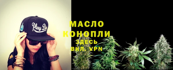 шишки Лабытнанги