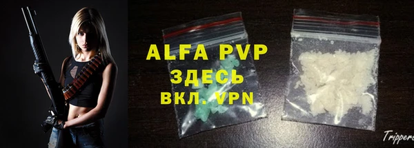 ECSTASY Лагань
