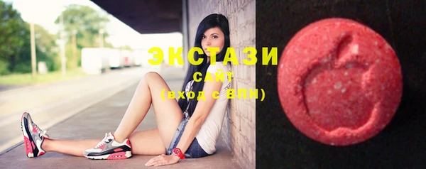 ECSTASY Лагань
