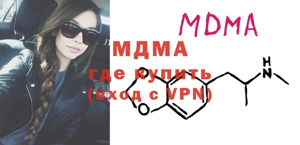шишки Лабытнанги