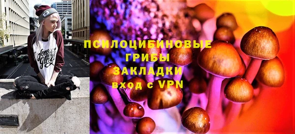 шишки Лабытнанги