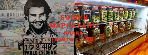 шишки Лабытнанги