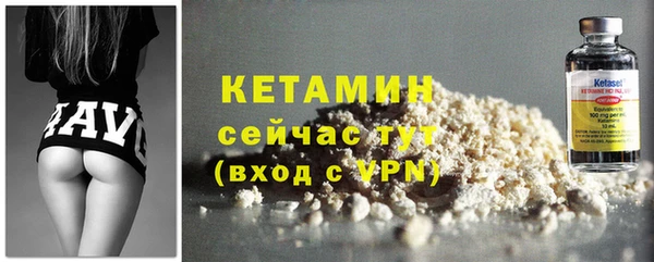 шишки Лабытнанги