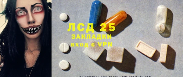 ECSTASY Лагань
