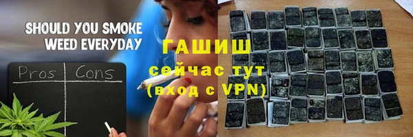 шишки Лабытнанги